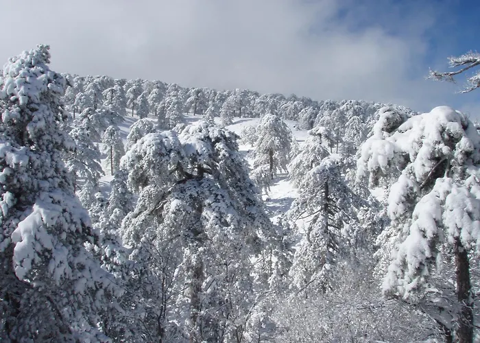 Jubilee Hotel Troodos